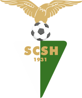 SC Senhora da Hora